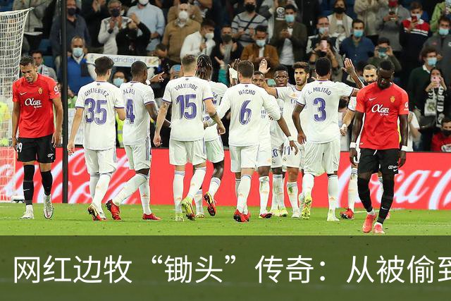 网红边牧“锄头”传奇：从被偷到30万的背后故事